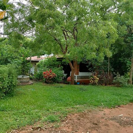Inn Pondiville Forest Retreat Pondicherry Exterior photo