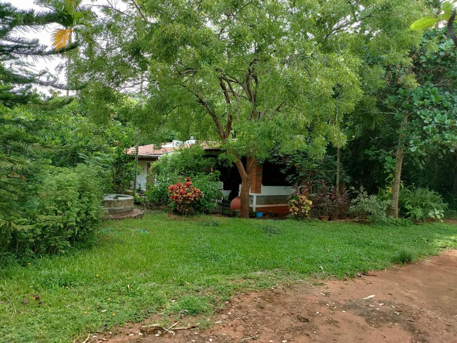 Inn Pondiville Forest Retreat Pondicherry Exterior photo