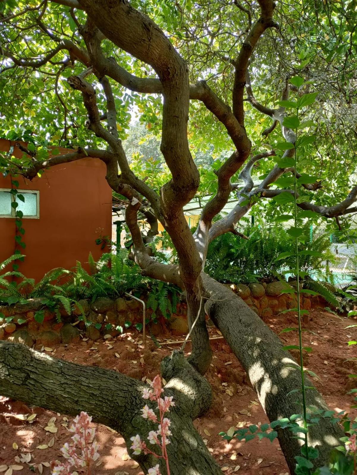 Inn Pondiville Forest Retreat Pondicherry Exterior photo